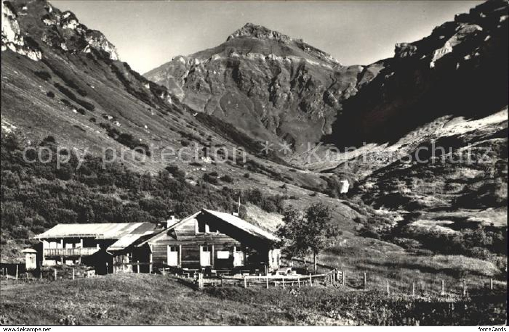 12044706 Muerren BE Spielbodenalp Mit Schilthorn Muerren - Other & Unclassified