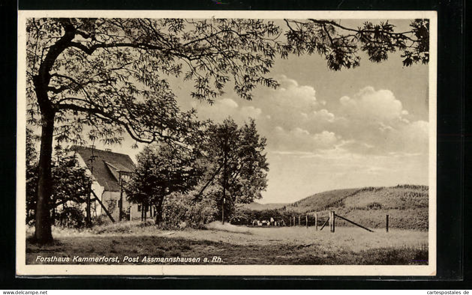 AK Kammerforst, Das Forsthaus Durch Bäume  - Hunting