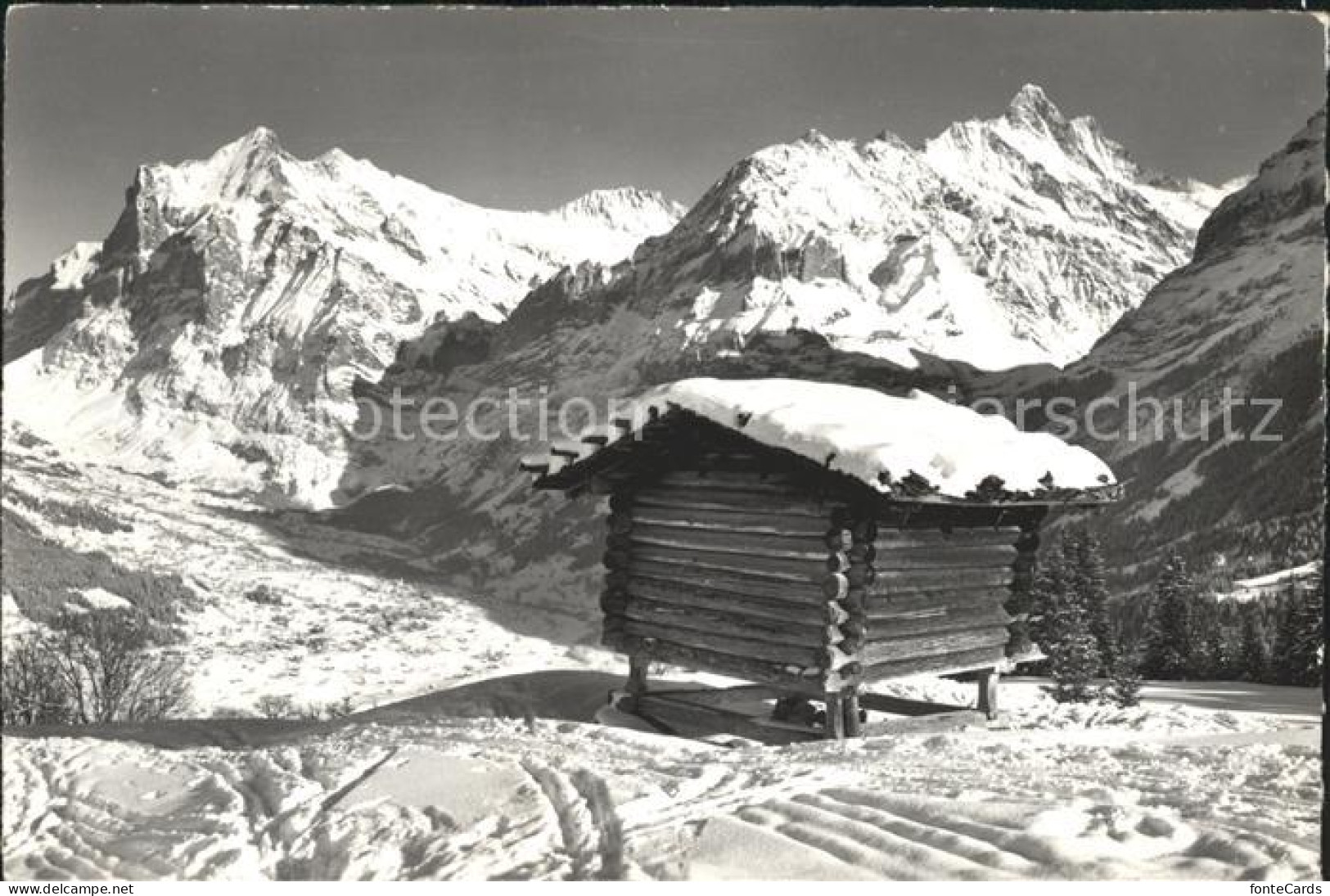 12042326 Grindelwald Maennlichen Abfahrt Mit Wetterhoerner Berglistock Schreckho - Autres & Non Classés