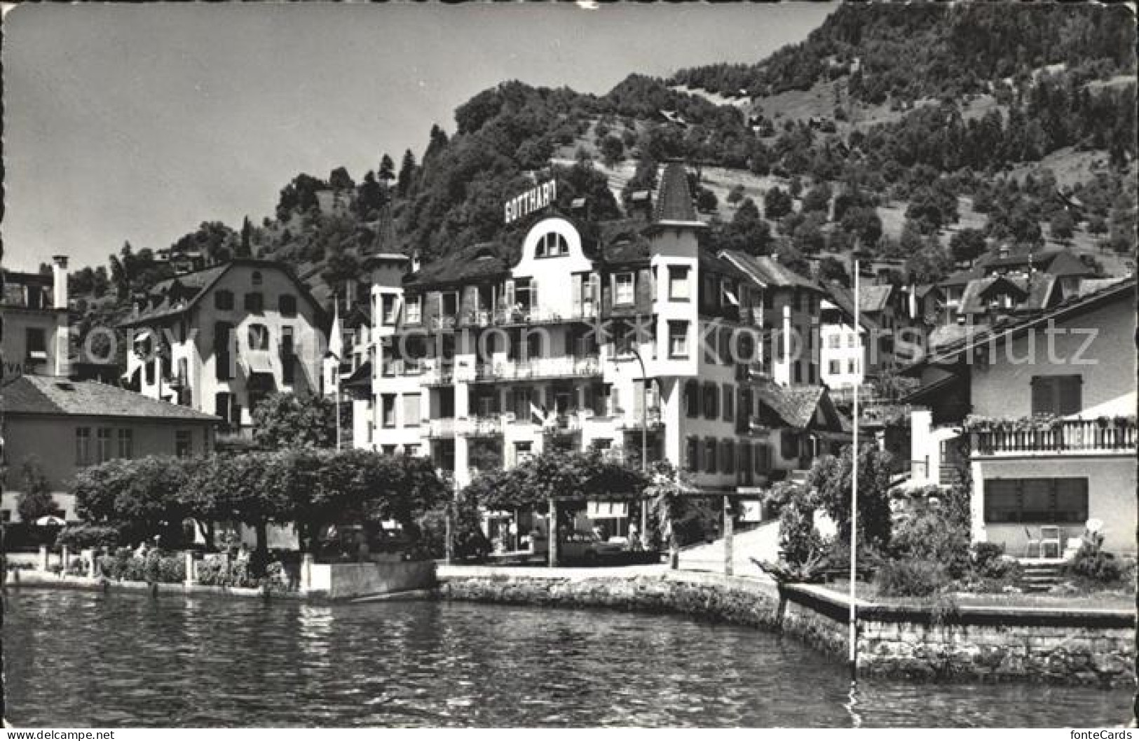 12039476 Weggis Vierwaldstaettersee Hotel Sant Gotthard Weggis - Autres & Non Classés