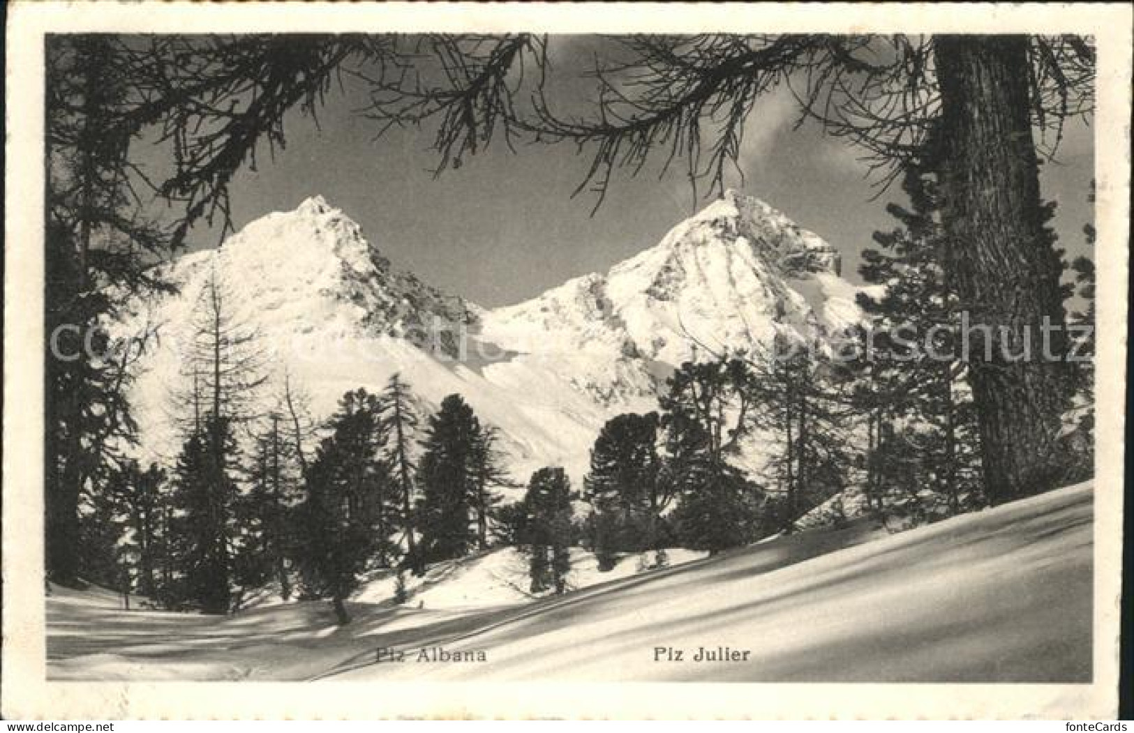 12033186 St Moritz GR Piz Albana Und Piz Julier St. Moritz - Altri & Non Classificati