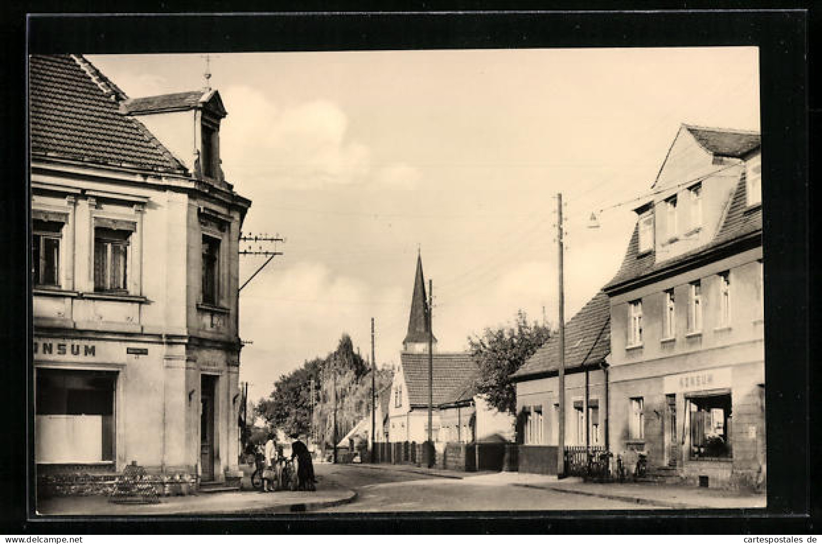 AK Beilrode / Torgau, Blick In Die Ernst-Thälmann-Strasse  - Torgau