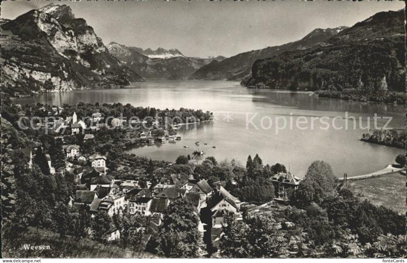 12024956 Weesen SG Panorama Walensee Leistkamm Alpen Weesen - Autres & Non Classés