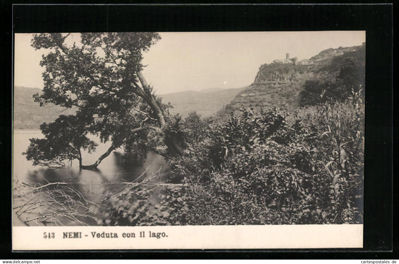Cartolina Nemi, Veduta Con Il Lago  - Other & Unclassified