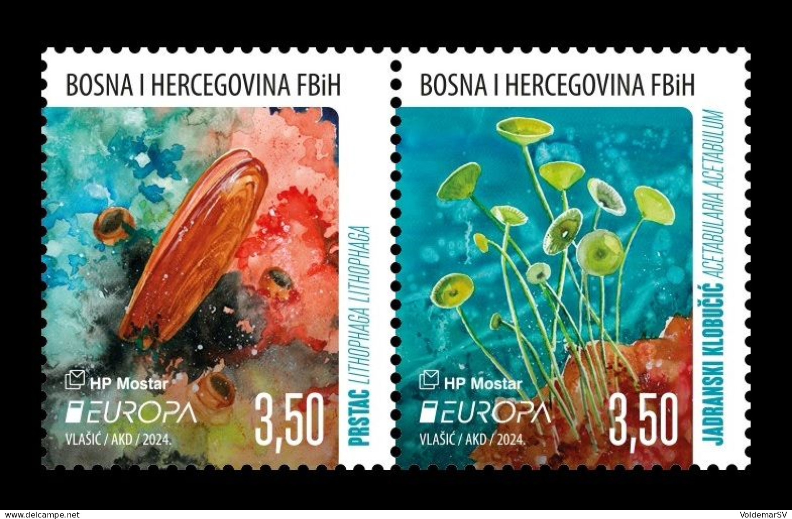 Bosnia And Herzegovina (Croatian) 2024 Mih. 650/51 Europa. Underwater Fauna And Flora MNH ** - Bosnië En Herzegovina