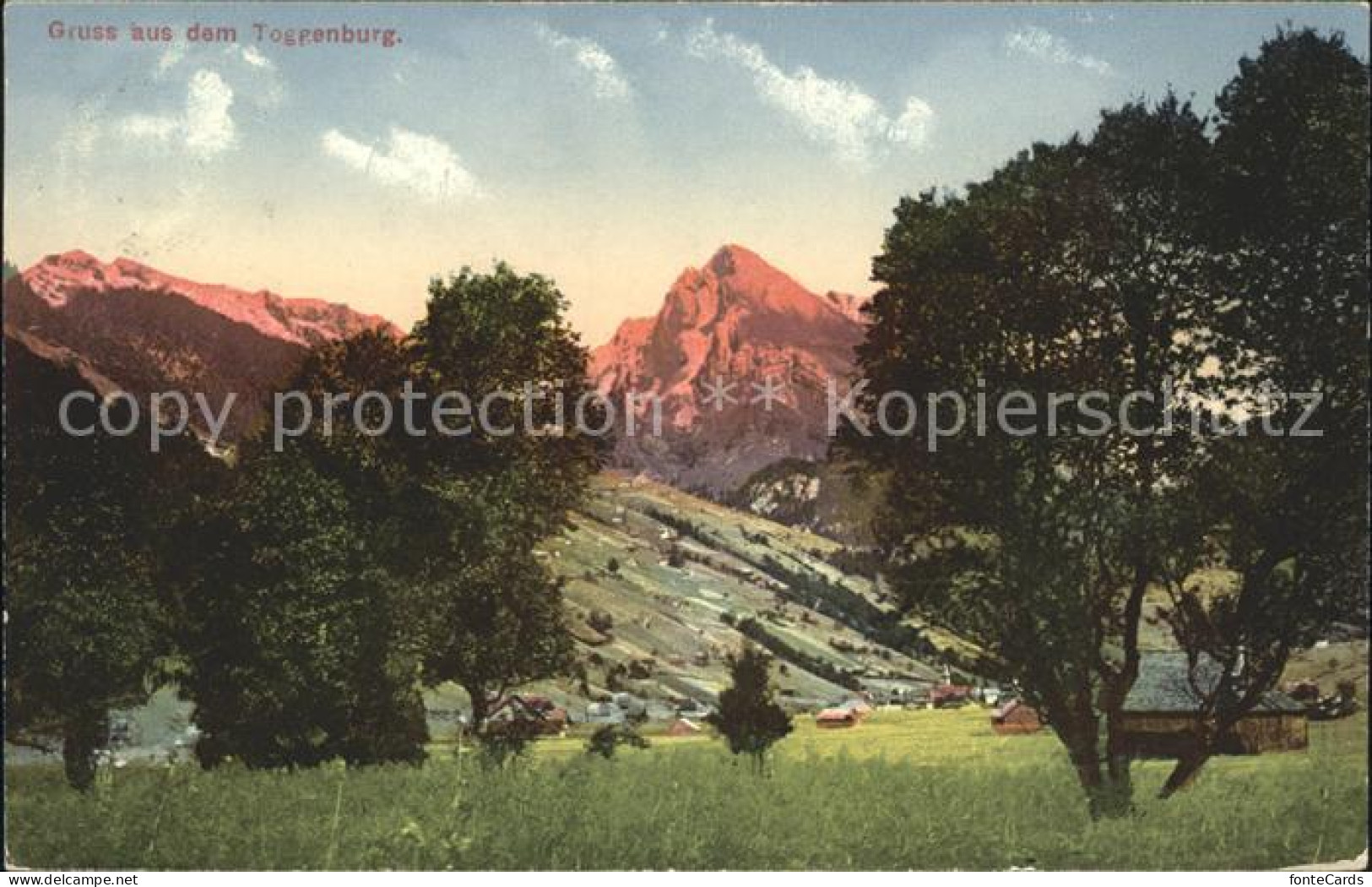 12018546 Toggenburg Landschaft Alpen Churfirsten - Andere & Zonder Classificatie