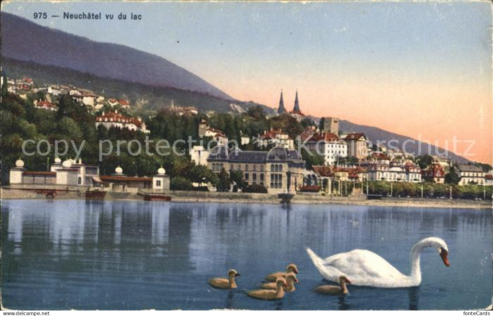 12013906 Neuchatel NE Vu Du Lac Cygne Neuenburgersee Schwan Neuchatel - Autres & Non Classés