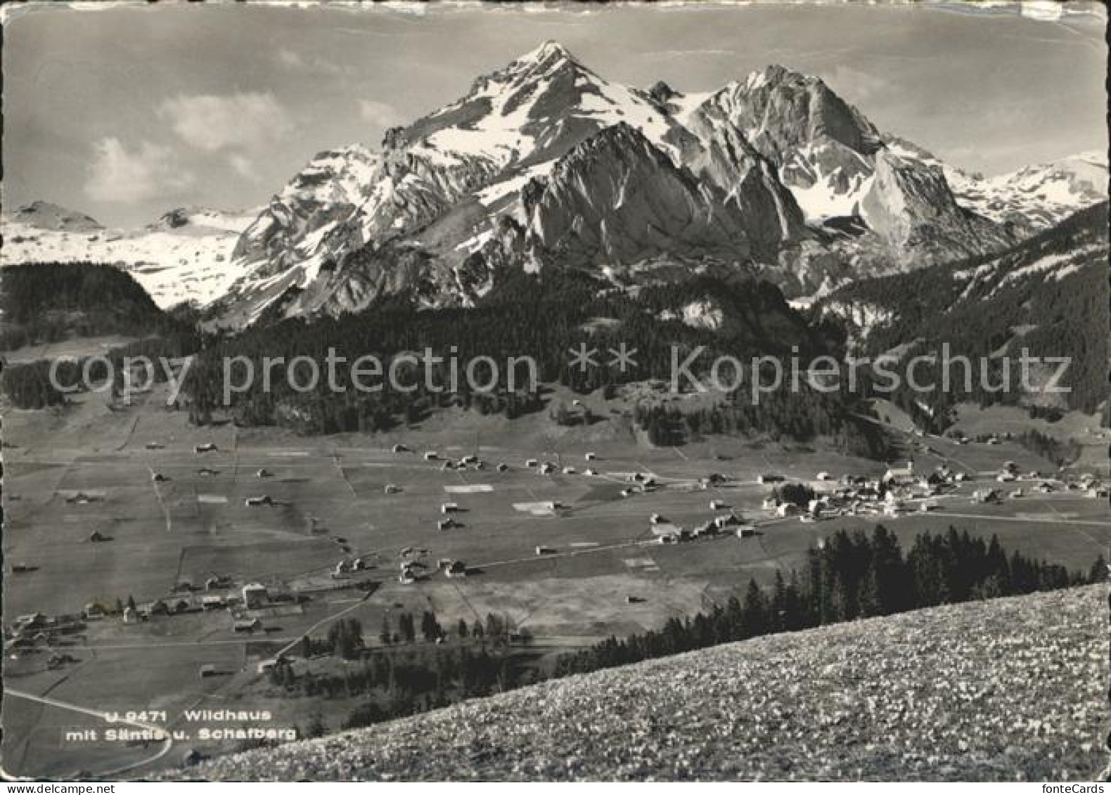 12005696 Wildhaus SG Saentis Schafberg Wildhaus - Andere & Zonder Classificatie