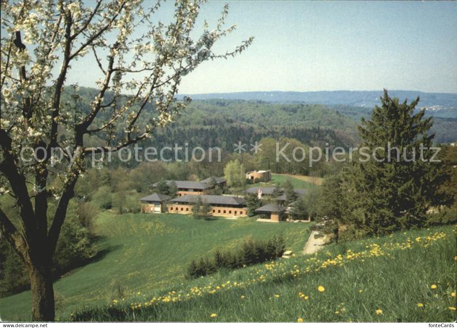 12004566 Hoelstein Evangelische Heimstaette Leuenberg Hoelstein - Andere & Zonder Classificatie