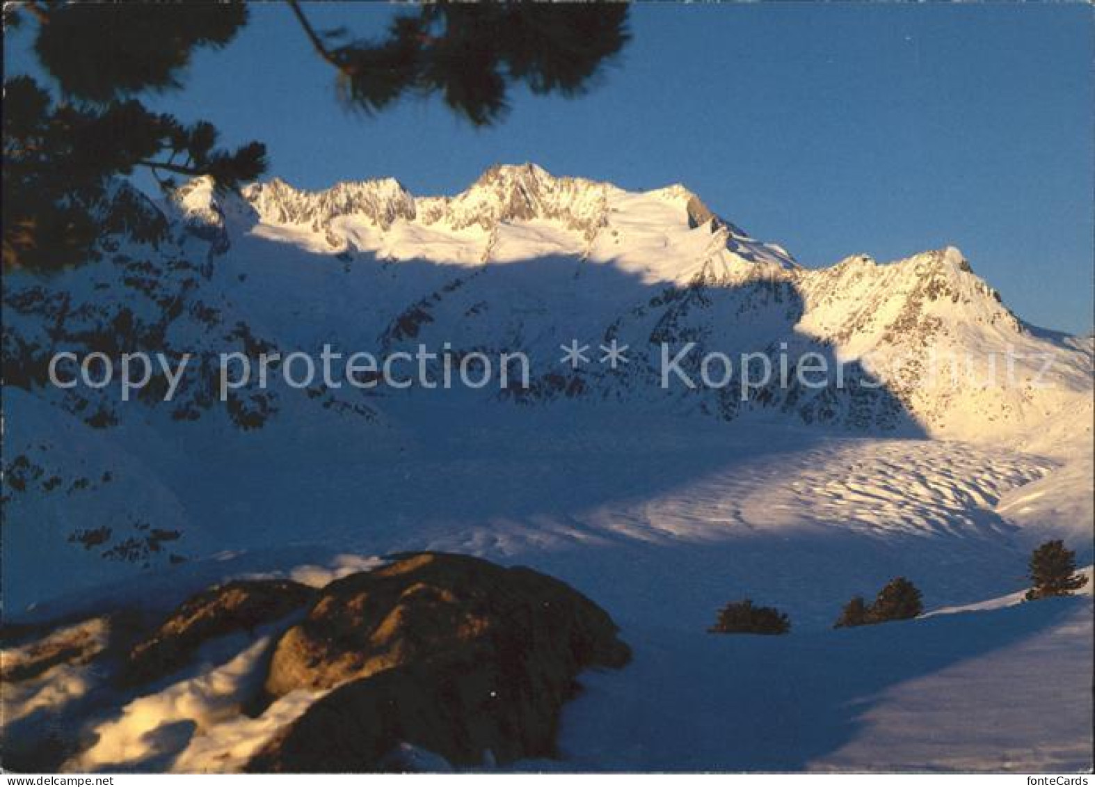 12002576 Riederalp Am Grossen Aletschgletscher Riederalp - Altri & Non Classificati