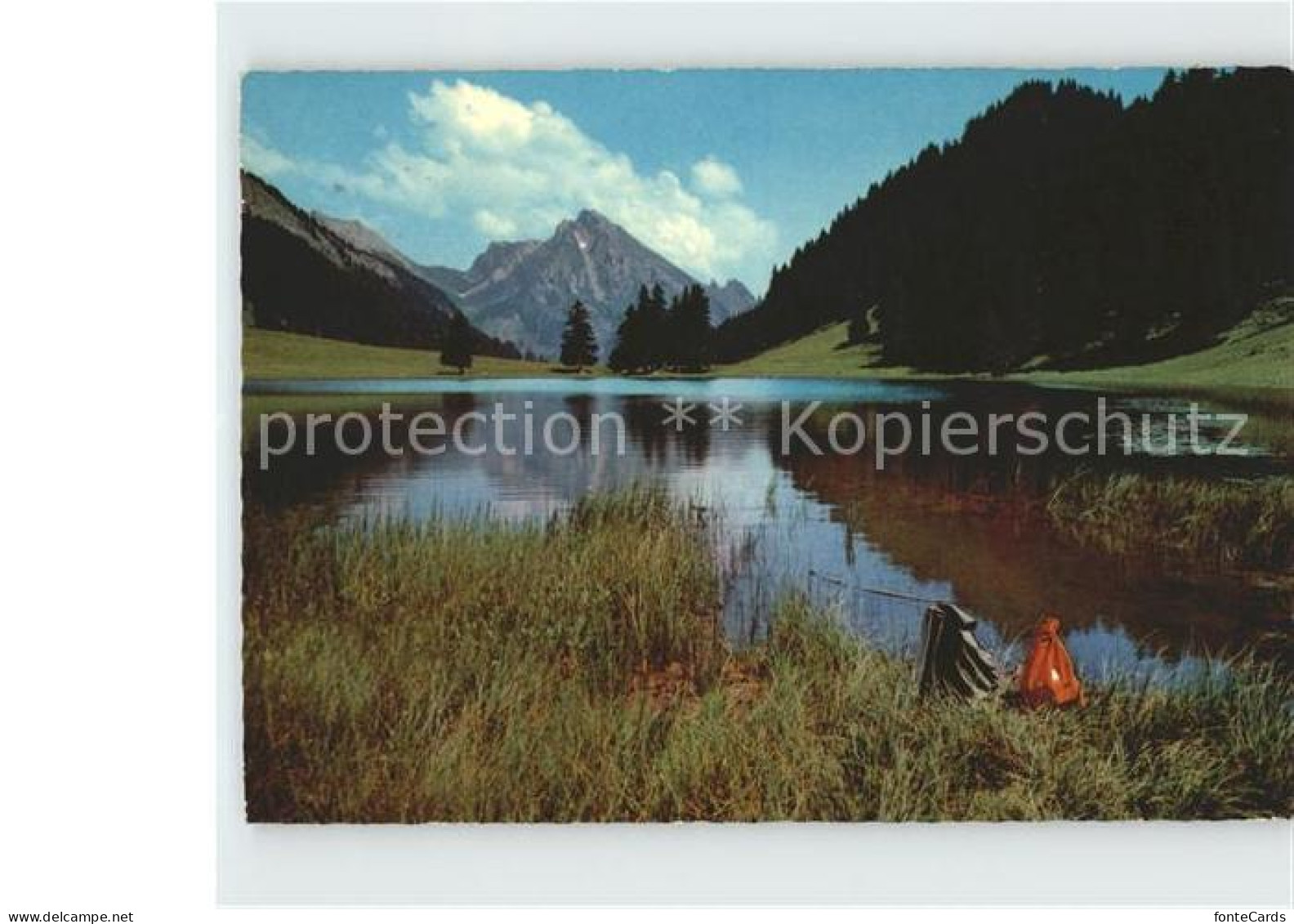 12000346 Obertoggenburg Graeppelensee Mit Wildhauser Schafberg Wildhaus - Autres & Non Classés