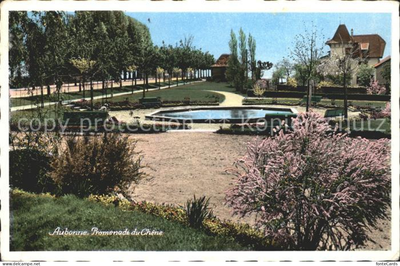 11993686 Aubonne VD Promenade Du Chene Aubonne - Autres & Non Classés