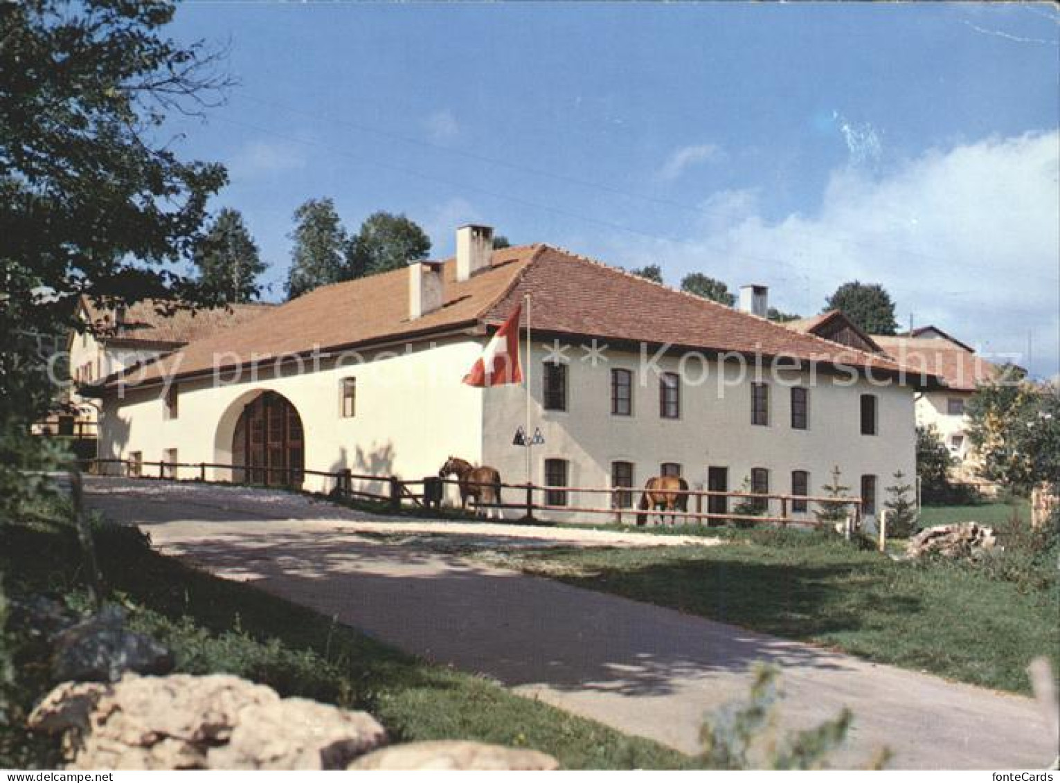 11979636 Le Bemont Jugendherberge Pferde Le Bemont - Andere & Zonder Classificatie