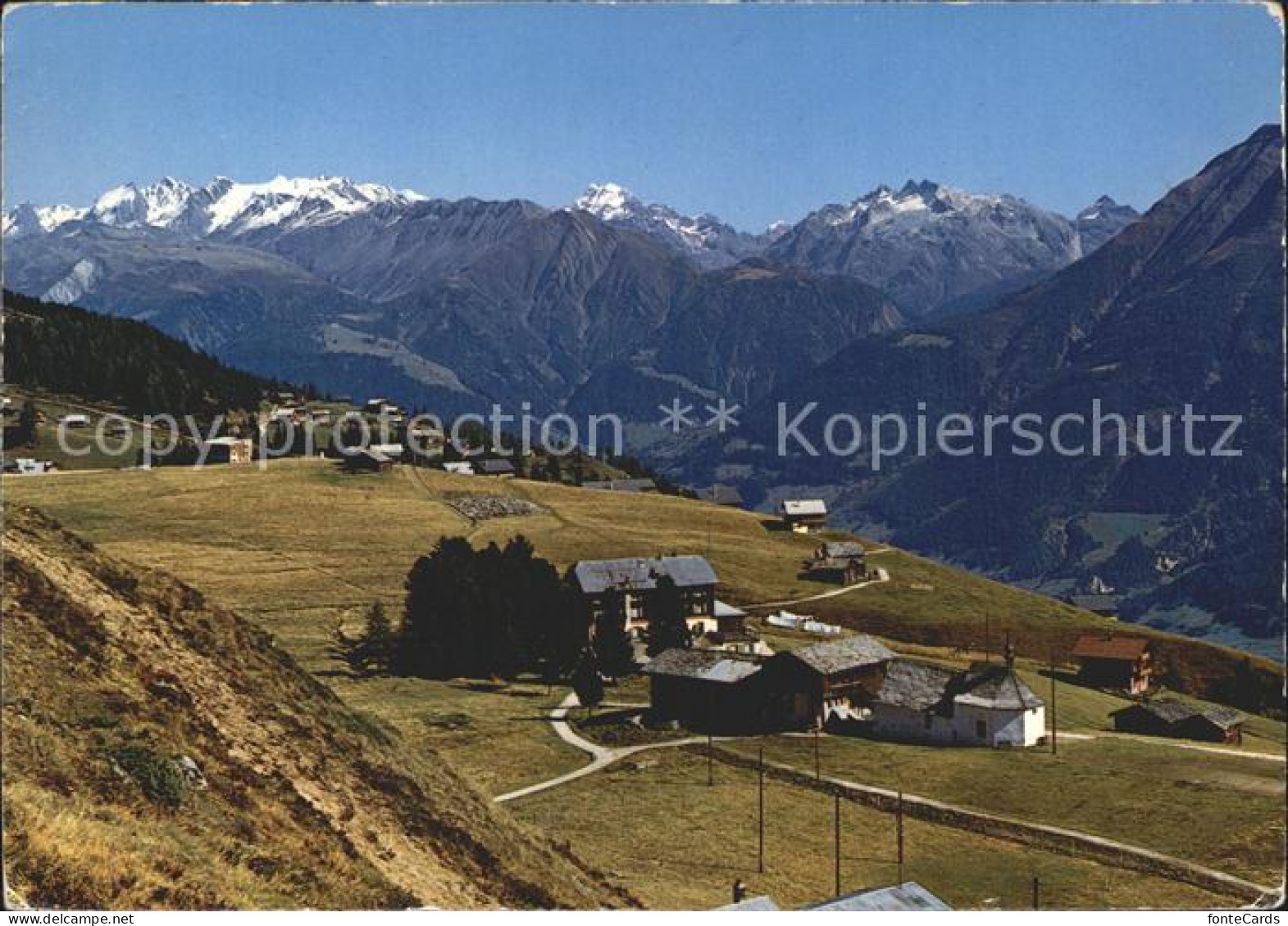 11979526 Riederalp Blinnenhorn Ofenhorn Schinhorn Riederalp - Sonstige & Ohne Zuordnung