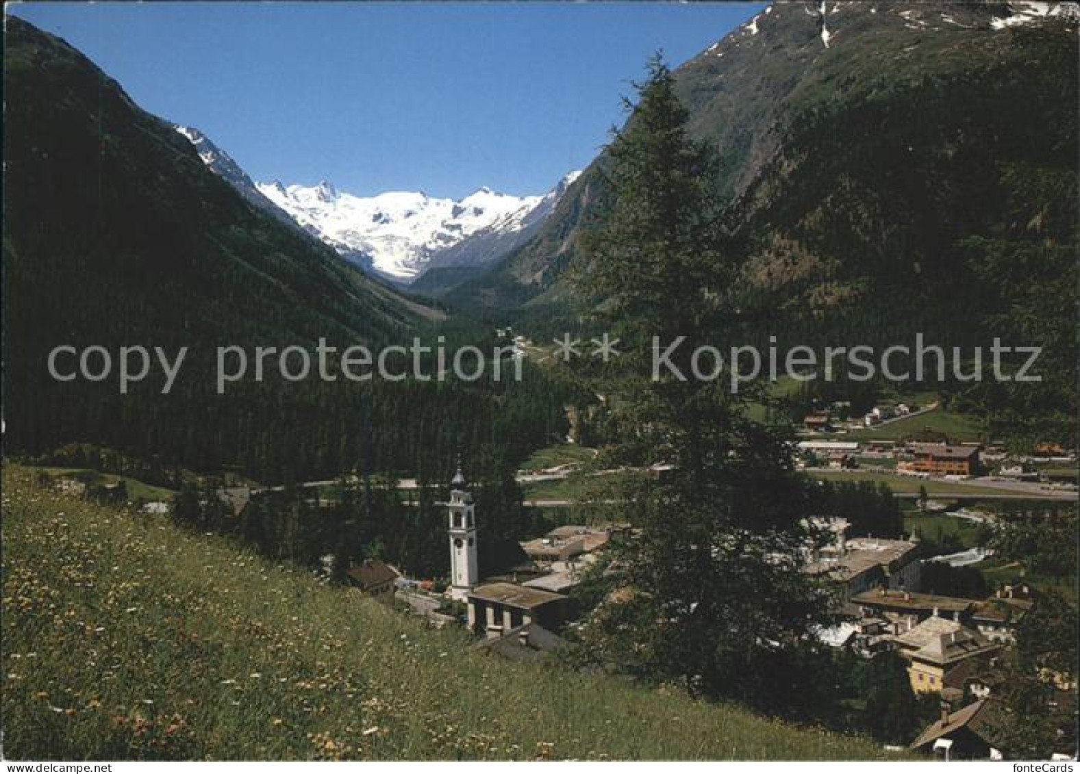 11979456 Pontresina Rosegtal Sellagruppe Pontresina - Autres & Non Classés