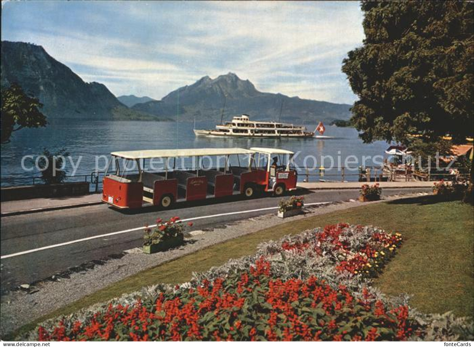 11977966 Weggis Vierwaldstaettersee Lido Bus Pilatus Dampfer Weggis - Sonstige & Ohne Zuordnung