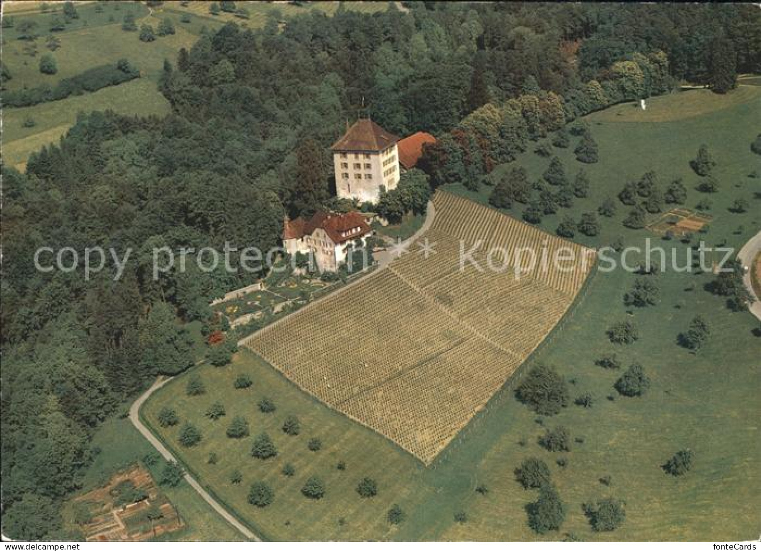 11972576 Gelfingen Schloss Heidegg Gelfingen - Otros & Sin Clasificación