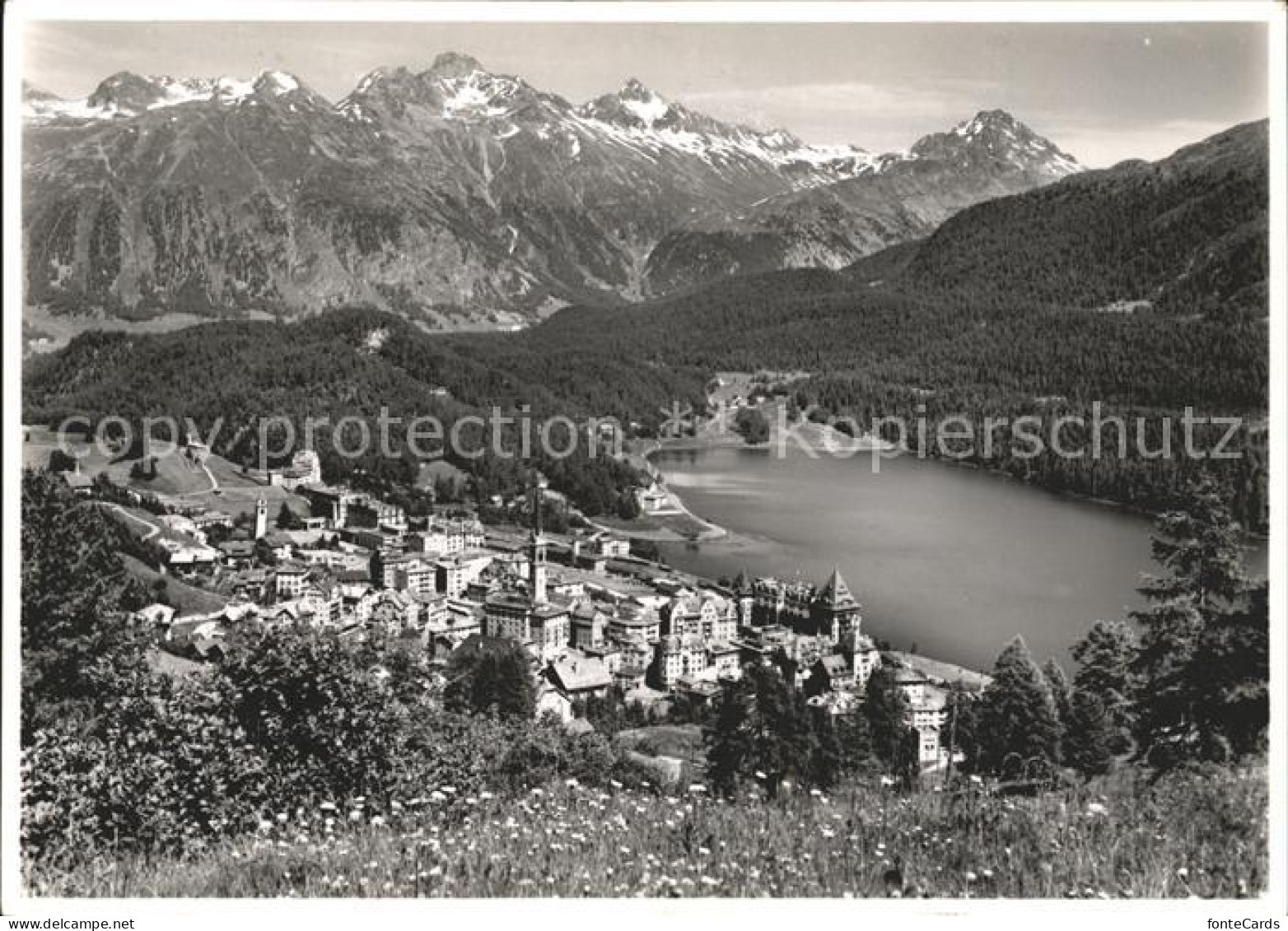 11969336 St Moritz GR See Piz Languard Albris St. Moritz - Other & Unclassified