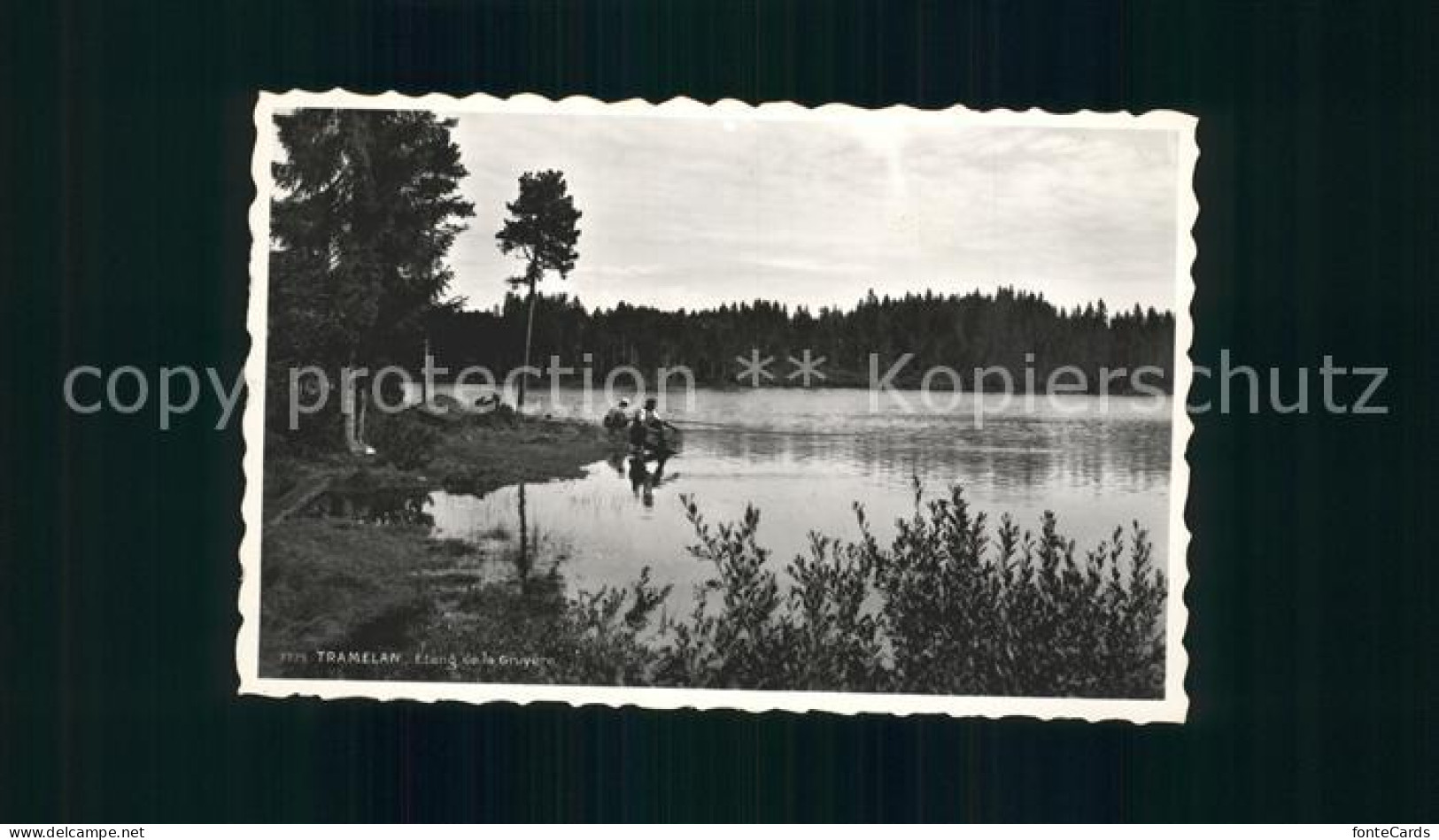 11965106 Tramelan Etang De La Gruyere Tramelan - Otros & Sin Clasificación