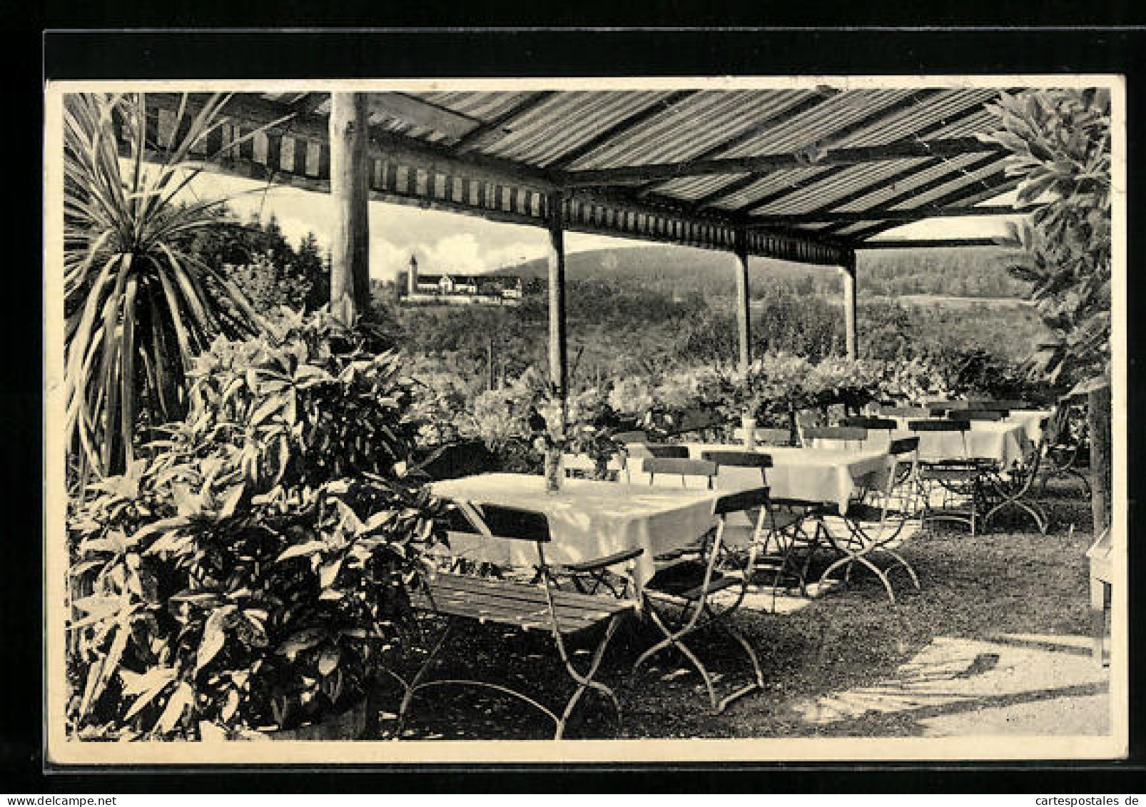 AK Lorch / Württ., Waldcafé Muckensee, Terrasse  - Lorch