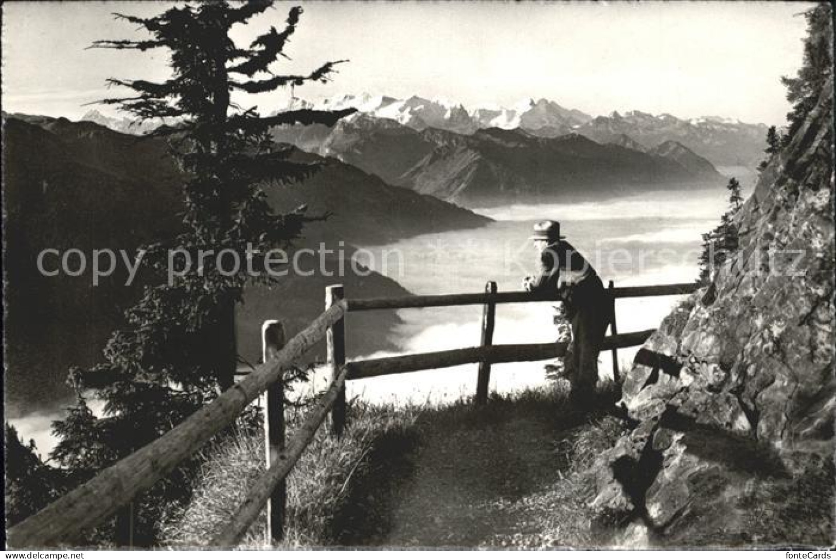 11963566 Stanserhorn Blick Vom Felsenweg Wanderweg Berner Hochalpen Nebelmeer St - Altri & Non Classificati