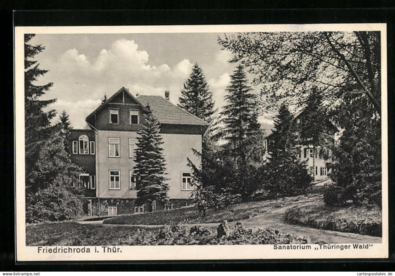 AK Friedrichroda I. Thür., Sanatorium Thüringer Wald  - Friedrichroda