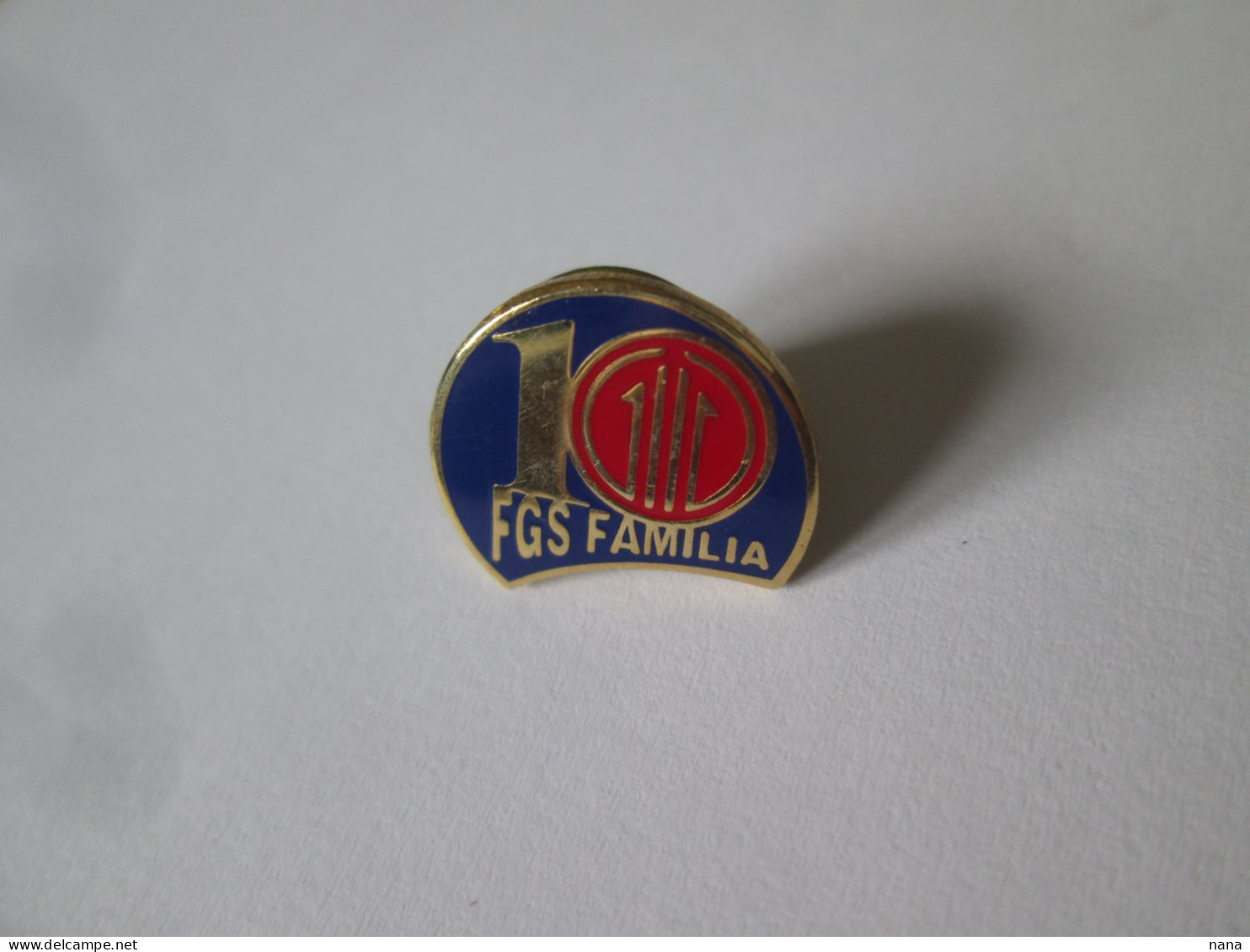 Roumanie Insigne/pin Du Syndicat Famille Vers 1990/Romania Family Trade Union Pin Badge 1990s - Verenigingen