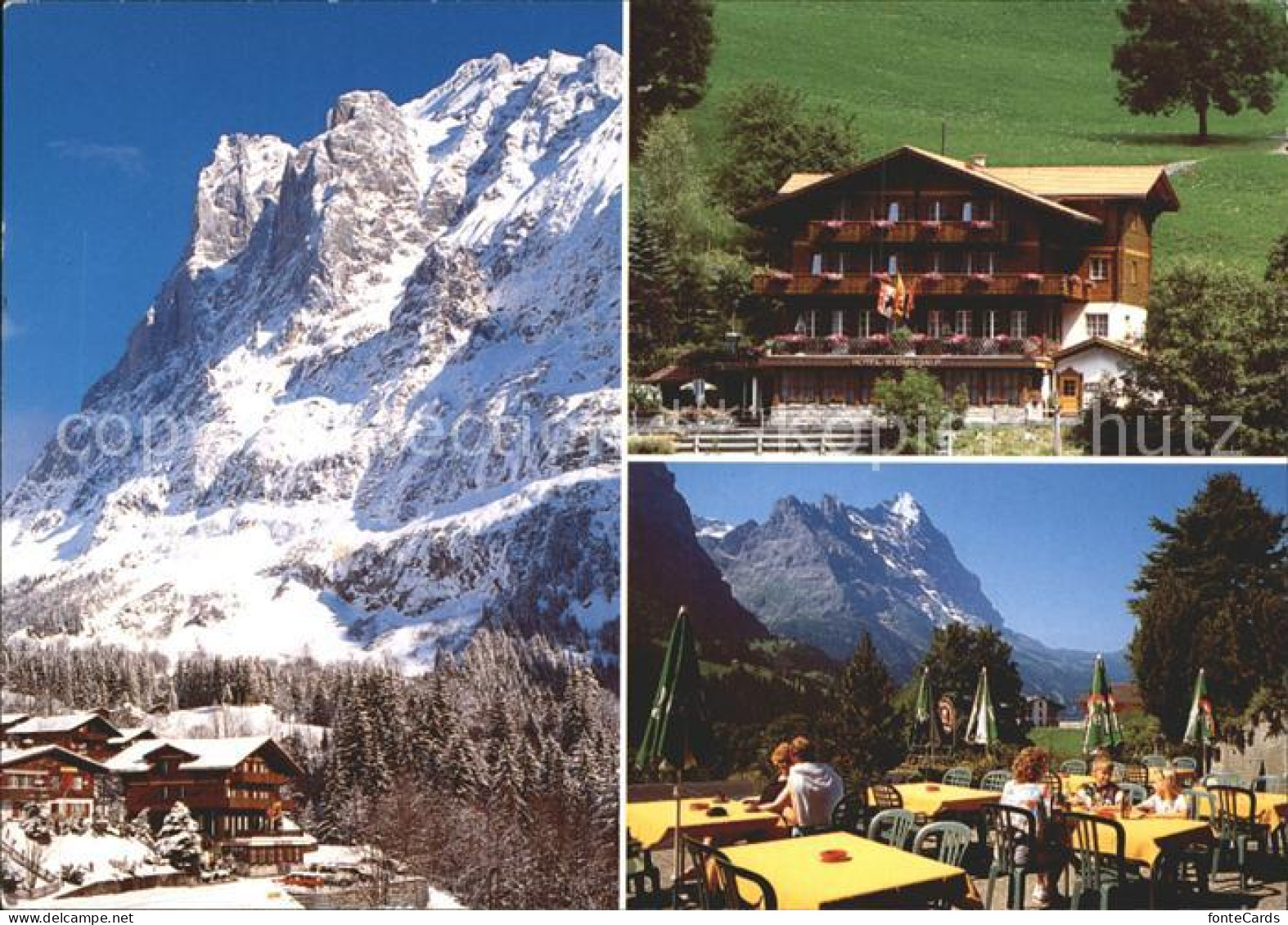 11948646 Grindelwald Hotel Restaurant Bluemlisalp Terrasse Grindelwald - Autres & Non Classés
