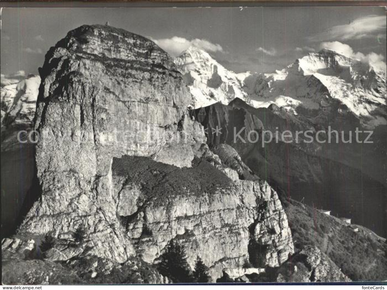 11924136 Daube Schynige Platte Moench Jungfrau Daube - Andere & Zonder Classificatie