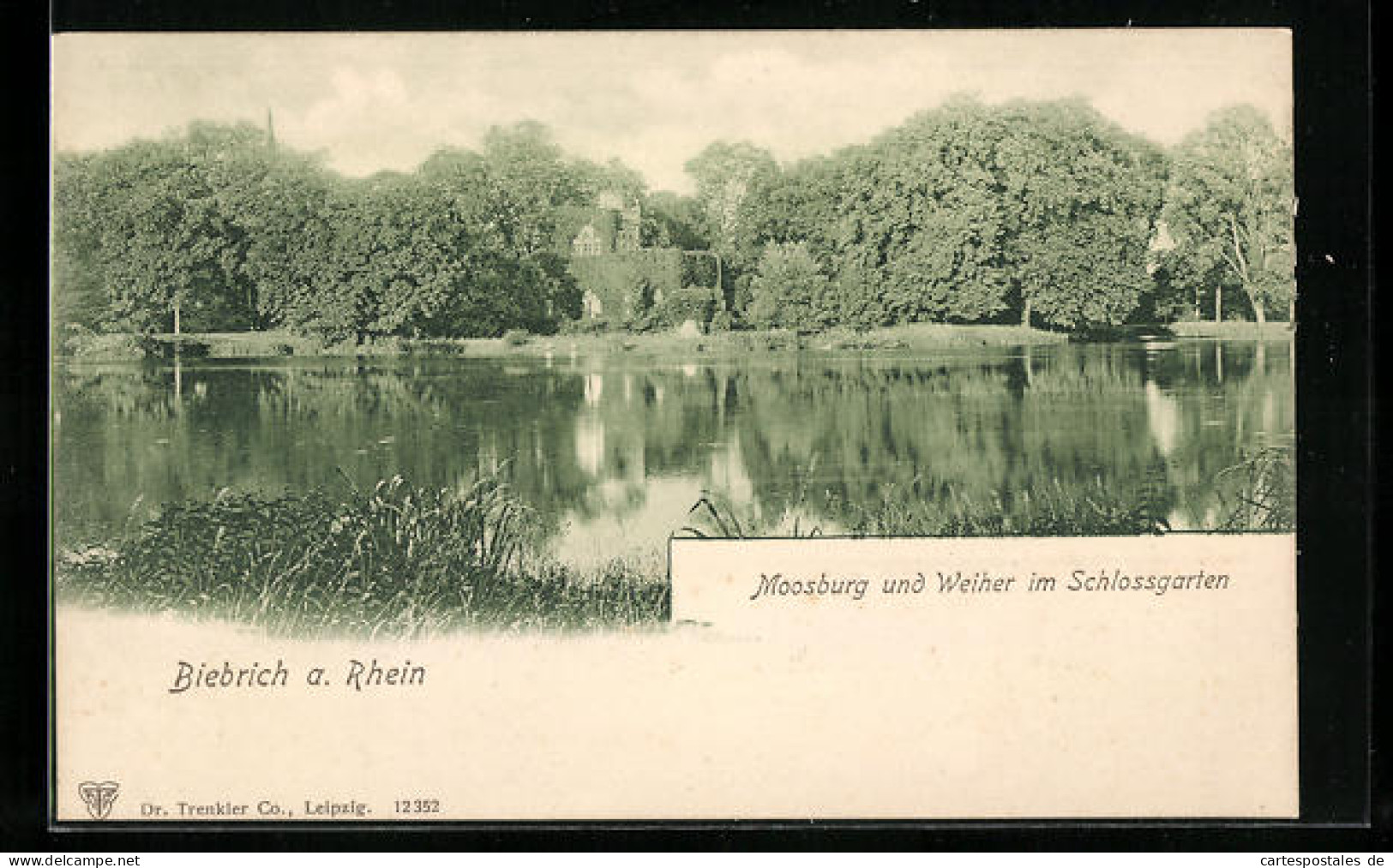 AK Biebrich A. Rhein, Mossburg Und Weiher Im Schlossgarten  - Other & Unclassified