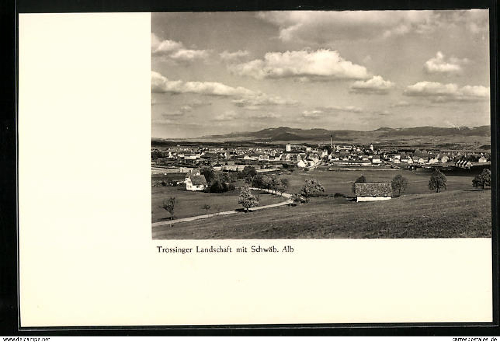 AK Trossingen, Trossinger Landschaft Mit Schwäb. Alb  - Trossingen