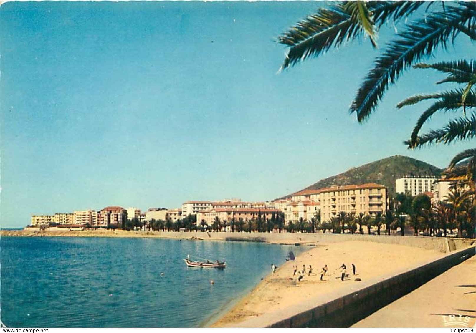 Ajaccio   Y 109 - Ajaccio