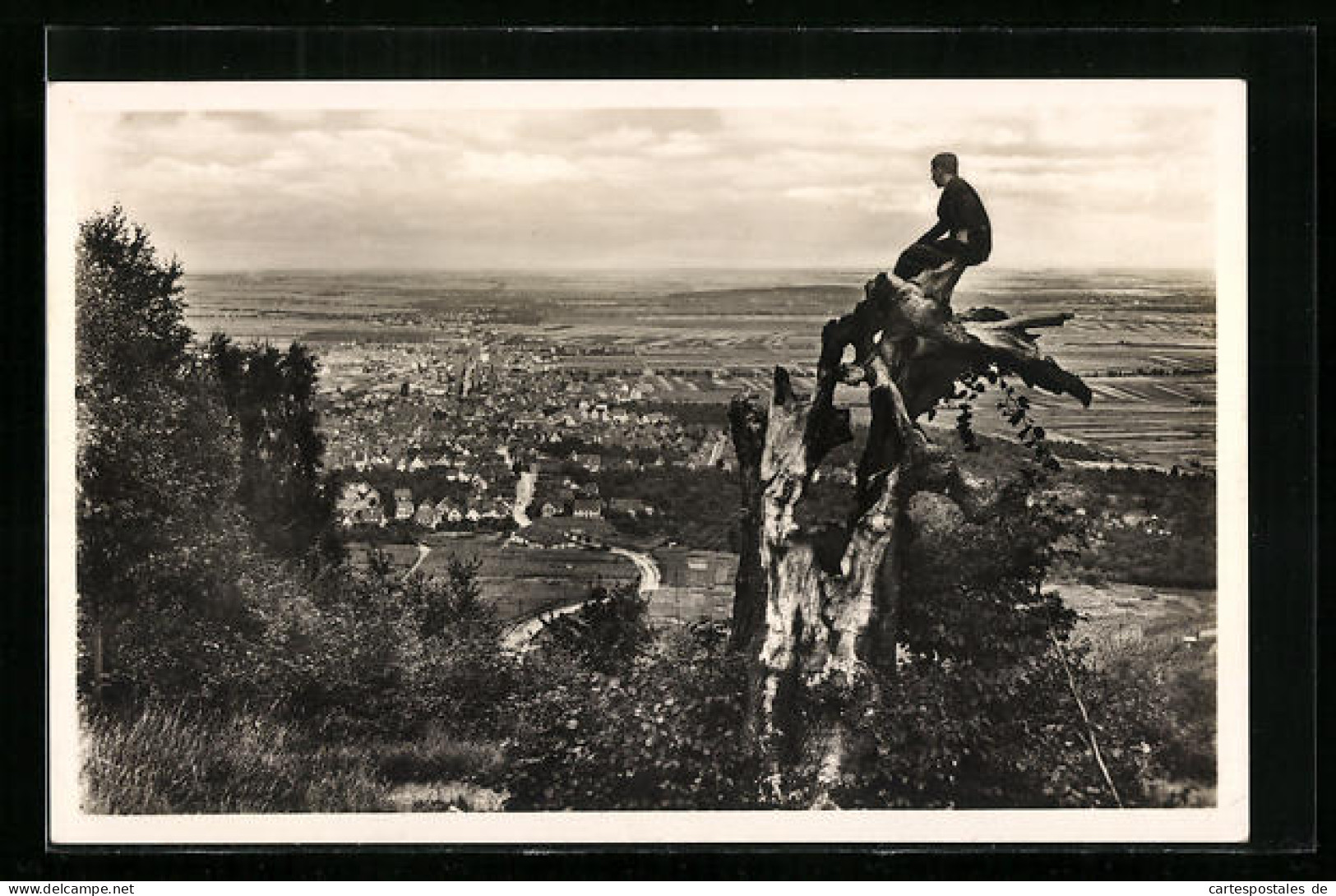 AK Fellbach, Blick Vom Kappelberg  - Sonstige & Ohne Zuordnung