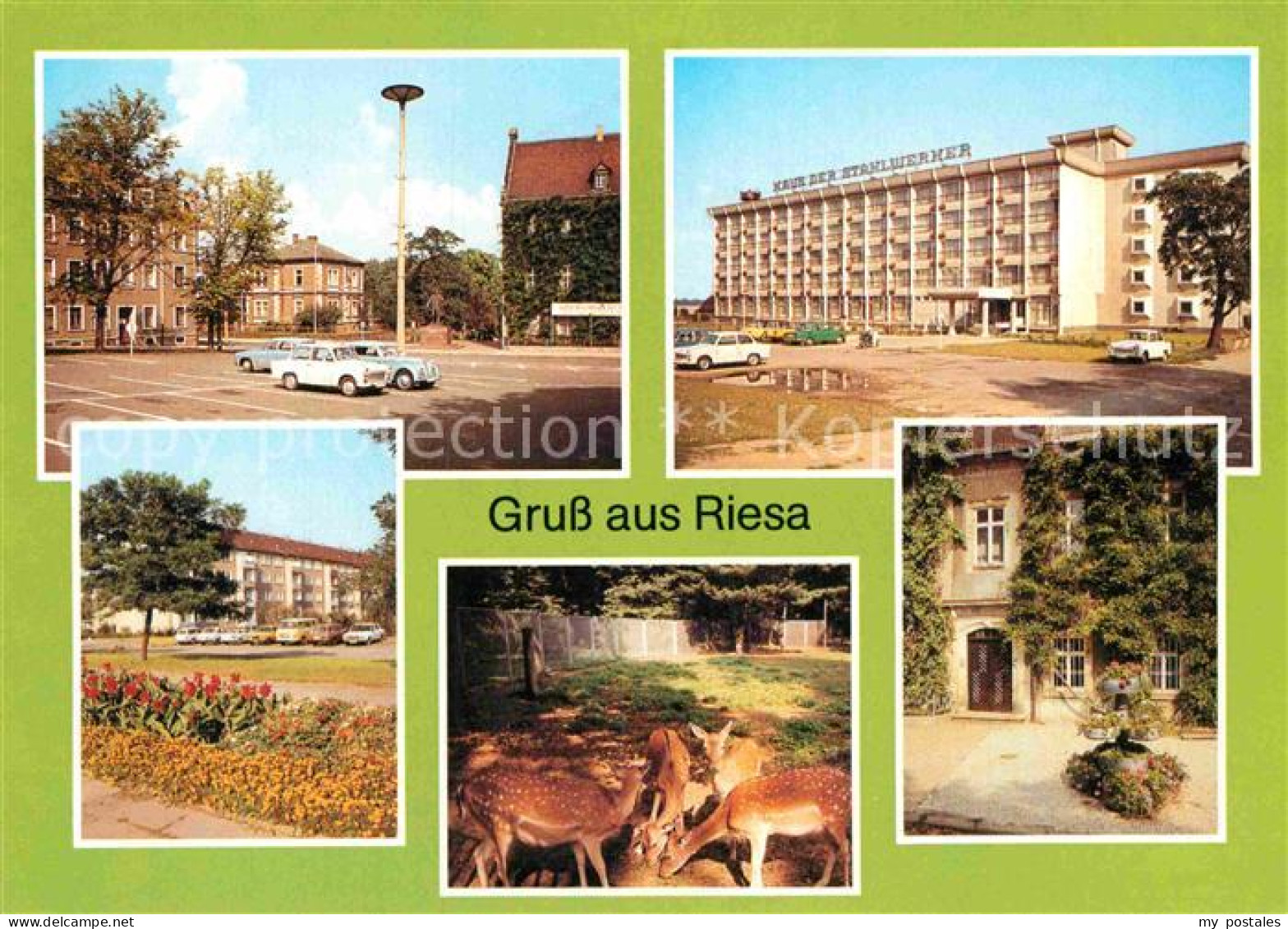 72913614 Riesa Sachsen Haus Der Stahlwerke Wild Tierpark Greifswalder-Strasse  R - Riesa