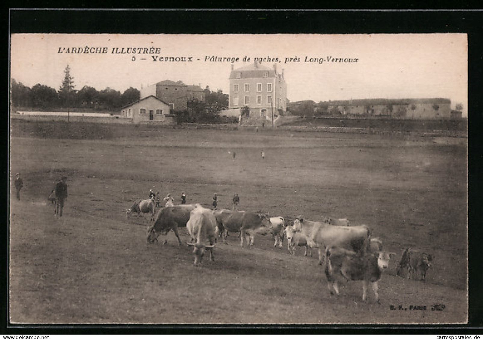 CPA Vernoux, Paturage De Vaches  - Vernoux