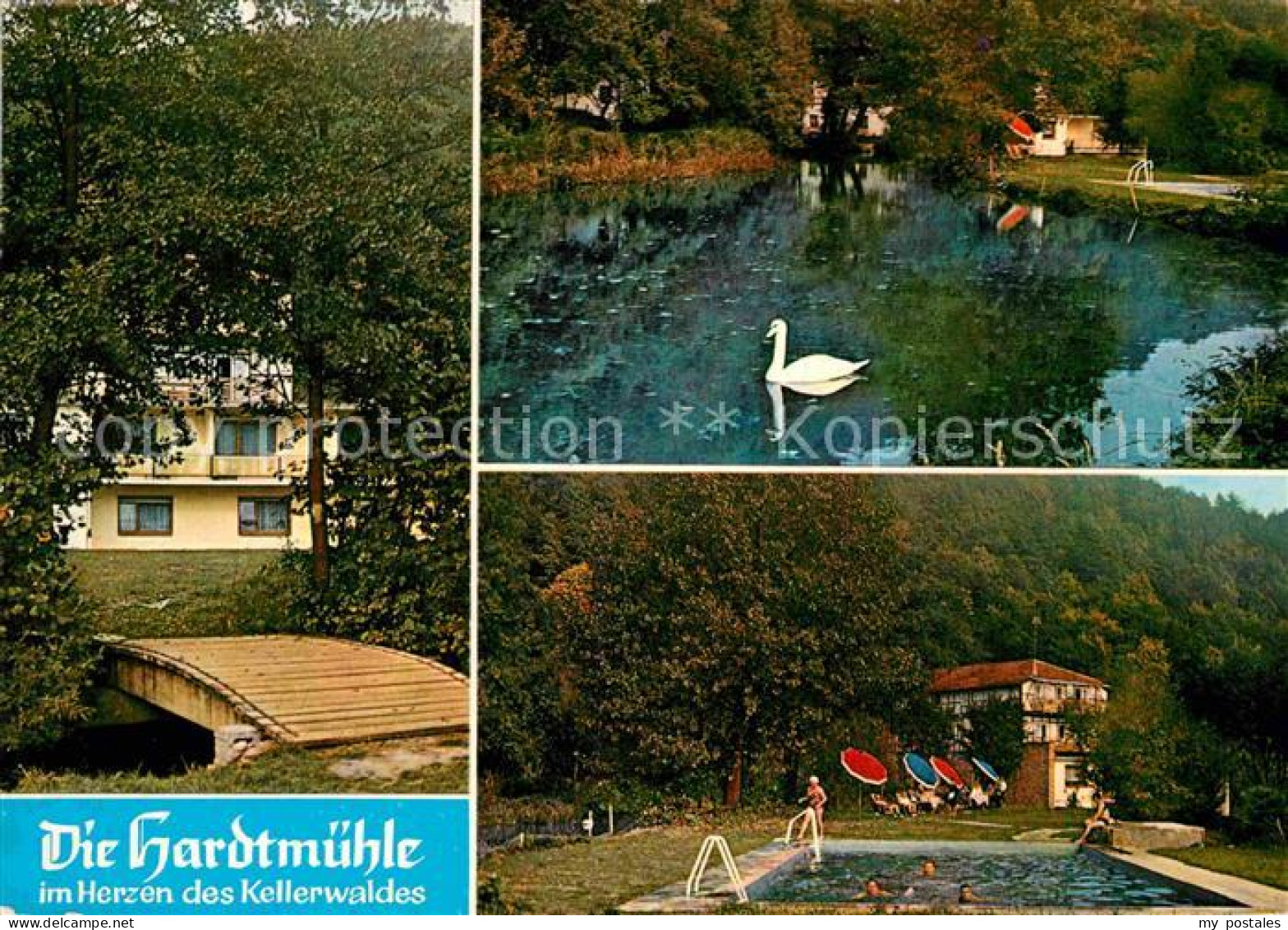 72913565 Bergfreiheit Hardtmuehle Cafe Gaststaette Swimming Pool Schwanenteich B - Bad Wildungen