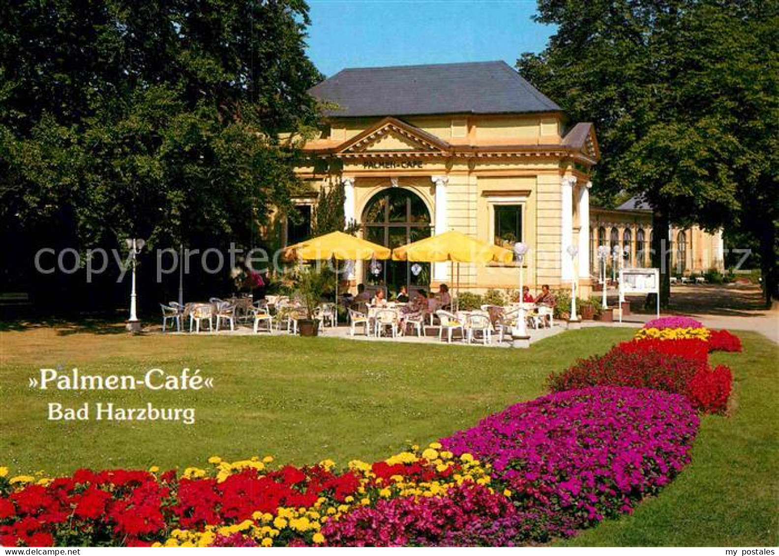 72913442 Bad Harzburg Palmencafe In Der Trinkhalle Und Wandelhalle Kurpark Blume - Bad Harzburg