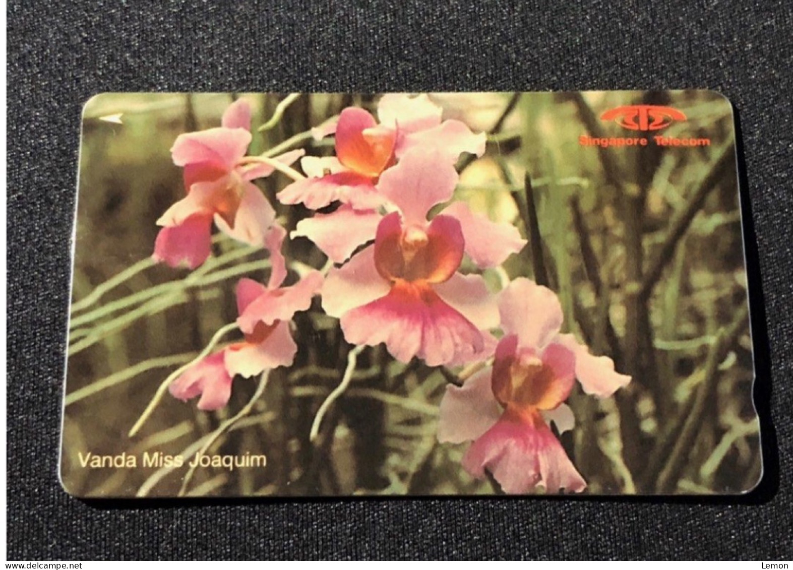 (No Control Number) Unused Singapore Telecom Singtel GPT Phonecard - Orchid, Set Of 1 Unused Card - Singapore