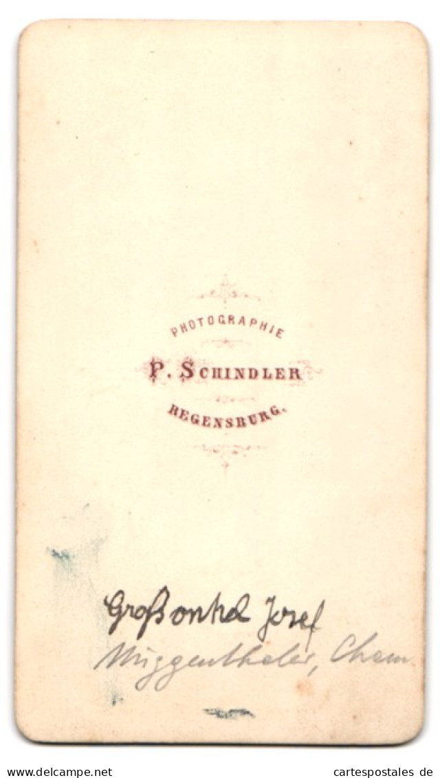 Fotografie P. Schindler, Regensburg, Portrait Josef Muggenthaler Im Anzug Mit Fliege  - Personnes Anonymes