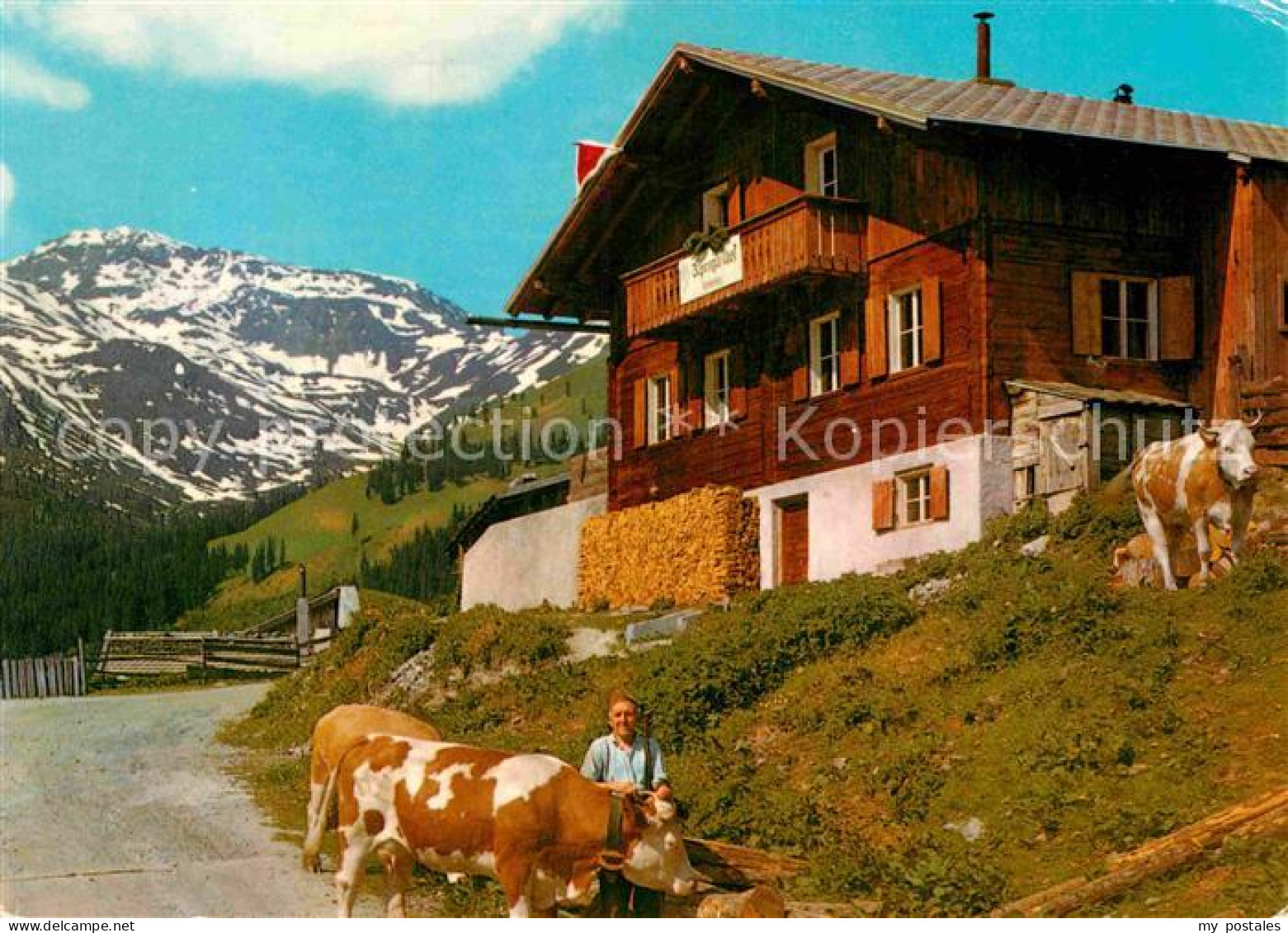 72909183 Fuegen Alpengasthof Schellenberg  Fuegen Zillertal - Andere & Zonder Classificatie