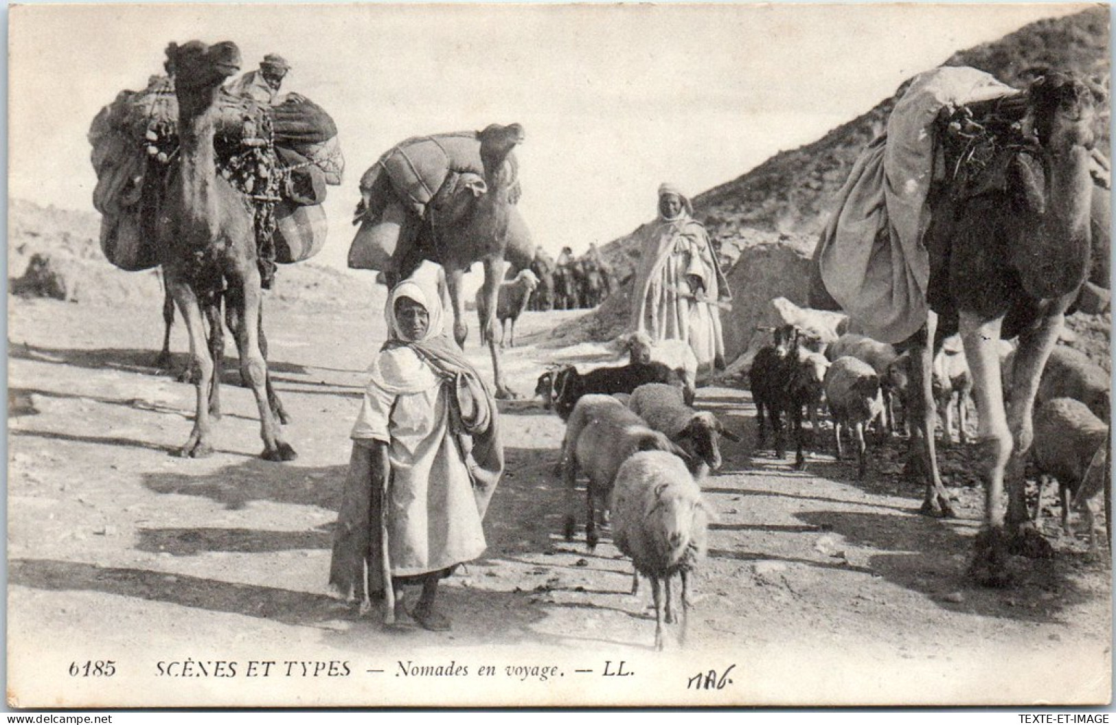 MAROC - Groupe De Nomades En Voyage. - Other & Unclassified