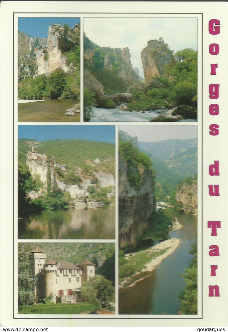 Les Gorges Du Tarn - Multivues - (P) - Gorges Du Tarn