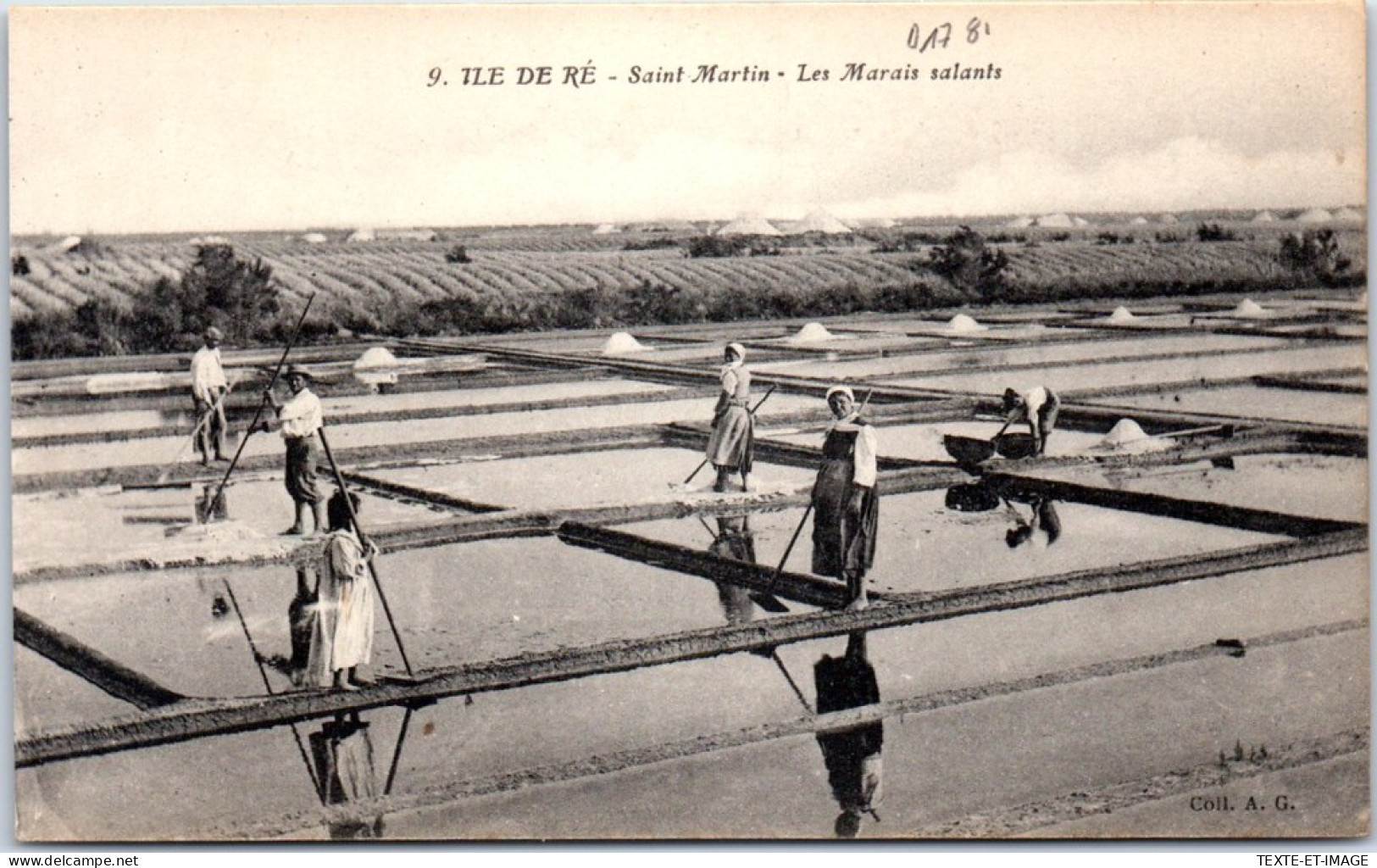 17 ILE DE RE - SAINT MARTIN - Les Marais Salants. - Ile De Ré