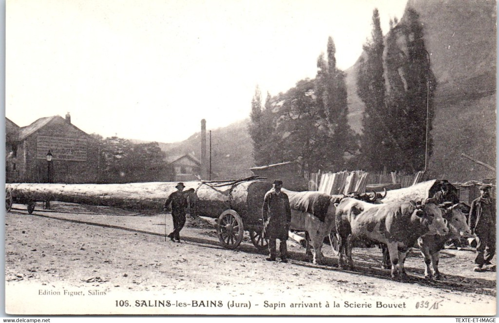 39 SALINS LES BAINS - Sapin Arrivant A La Scierie Bouvet - Sonstige & Ohne Zuordnung