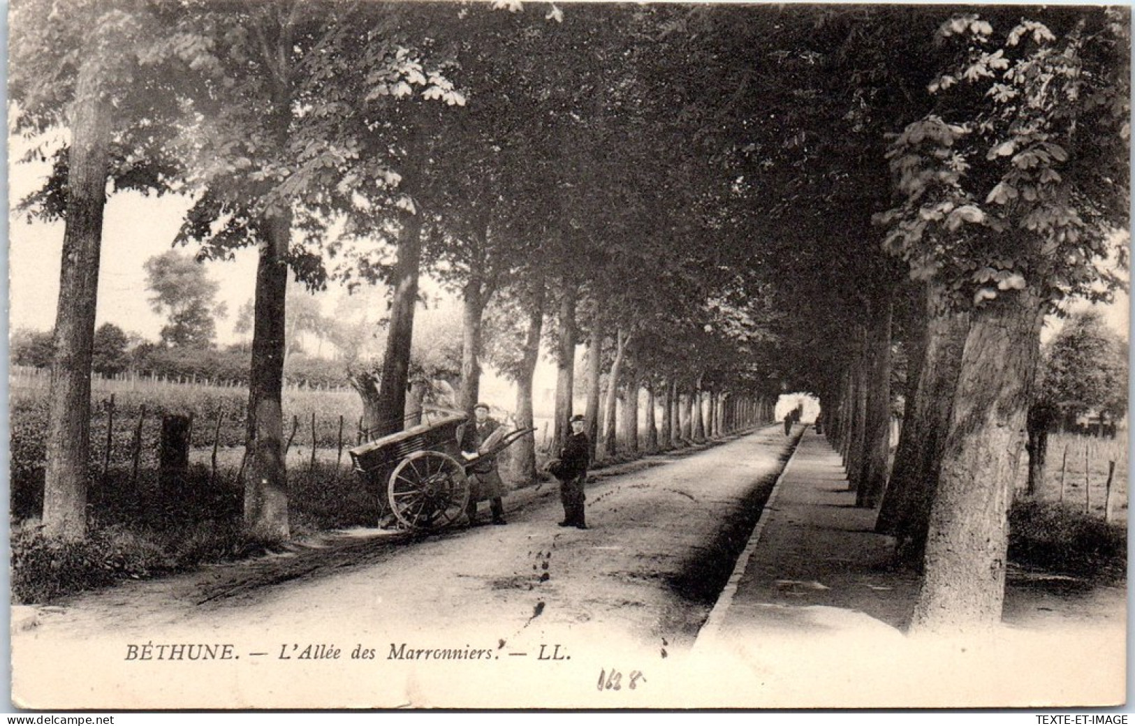 62 BETHUNE - L'allee Des Maronniers. - Bethune