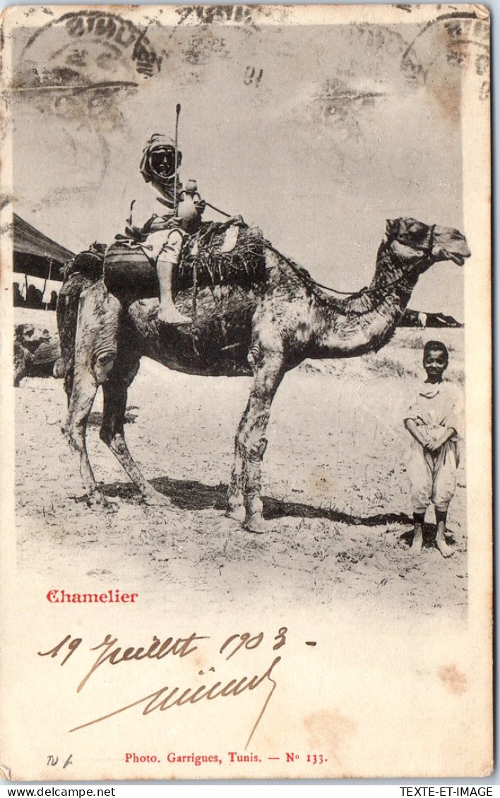 TUNISIE - Type De Chamelier. - Tunisie