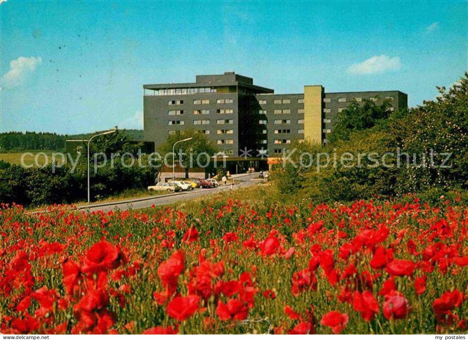 72907087 Marmagen Eifelhoehen Klinik Mohnblumen Marmagen - Andere & Zonder Classificatie