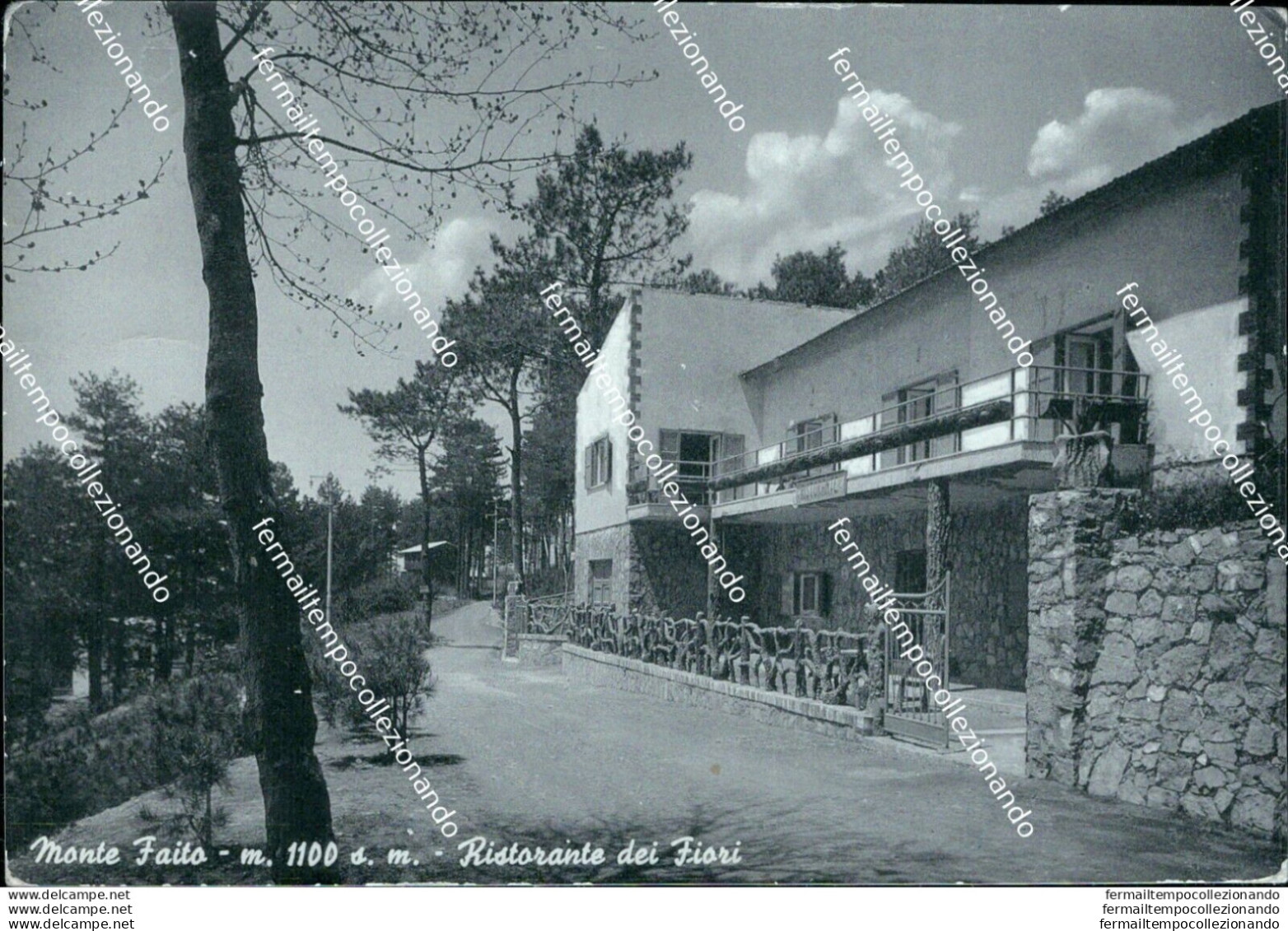 Bh583 Cartolina Monte Faito Ristorante Dei Fiori Provincia Di Napoli - Napoli (Naples)