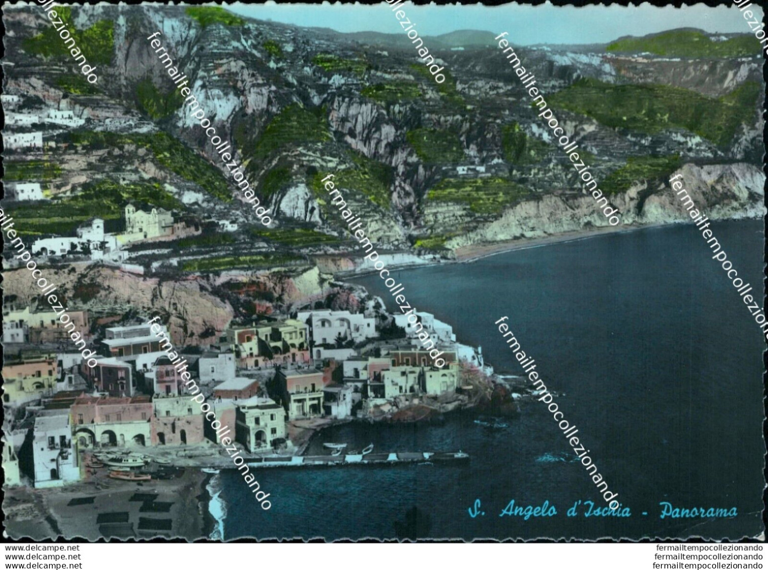 Be556 Cartolina S.angelo D'ischia Panorama Provincia Di Napoli - Napoli (Neapel)