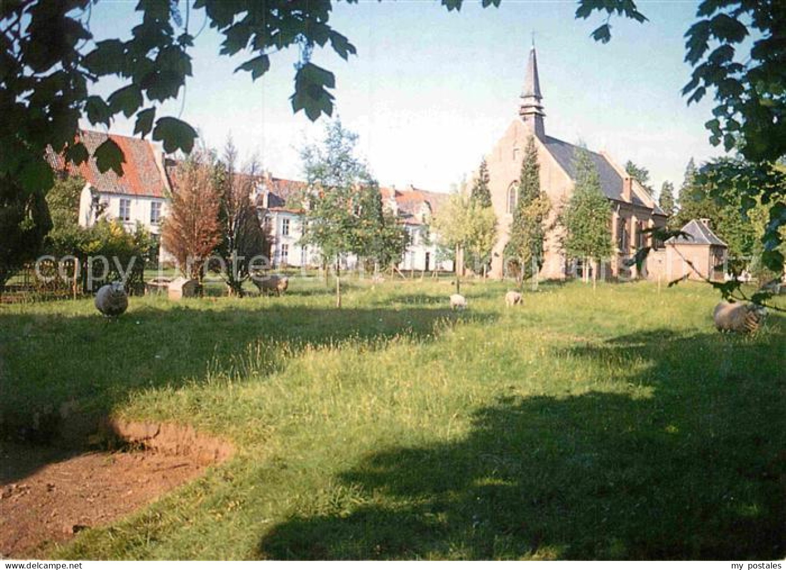 72906901 Dendermonde Schapenweide Met Begijnhofkerk Dendermonde - Dendermonde